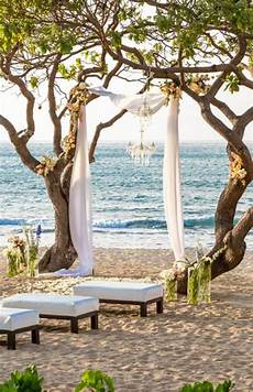 Beach Chairs