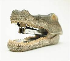 Crocodile Stapler