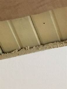 Fiberboard Menards