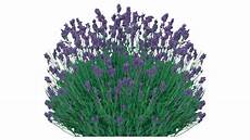 Furniture Components