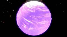 Purple Staples