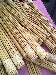 Rattan Cane