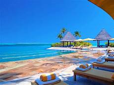 Sun Chairs