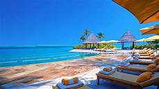 Sun Chairs